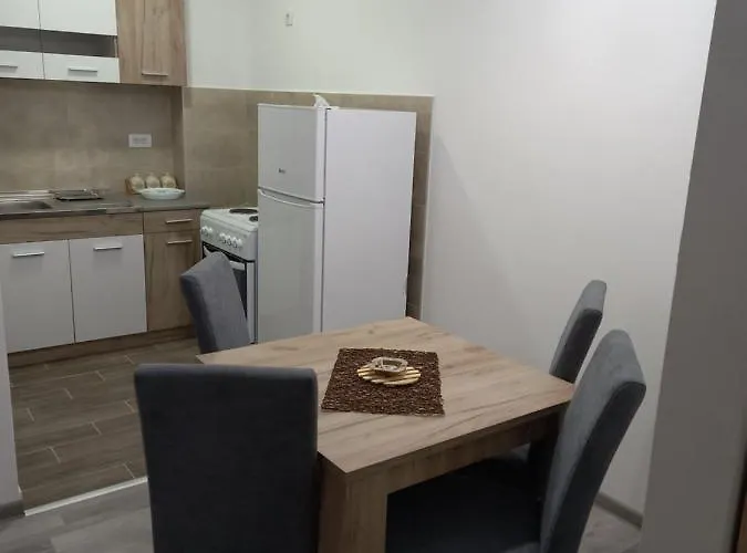 Apartment Vasilije Banja Koviljača
