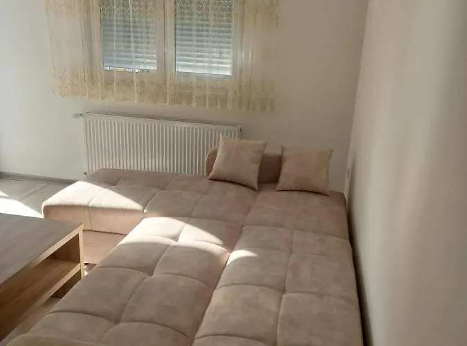 Vasilije Apartment Banja Koviljača