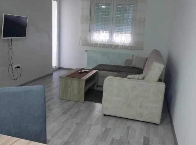 Apartment Vasilije *