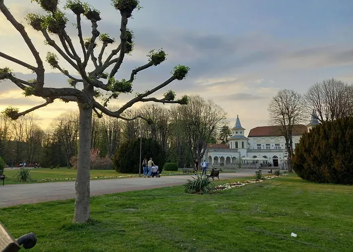 Apartment Vasilije *