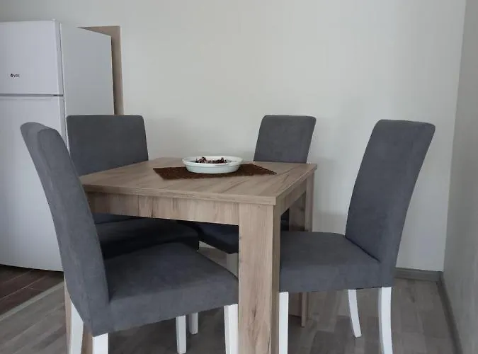 Vasilije Apartment Banja Koviljača